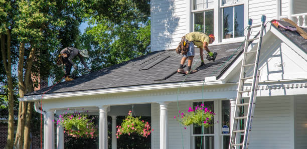 Best Roof Repair  in Loogootee, IN